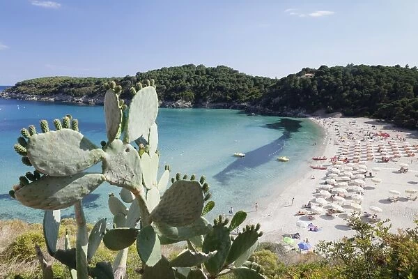 Fetovaia Beach, Island of Elba, Livorno Province, Tuscany, Italy, Europe