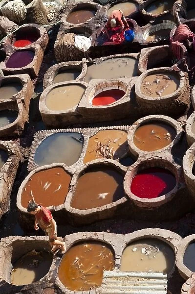 Fez Tannery, Fez, Morocco, North Africa, Africa