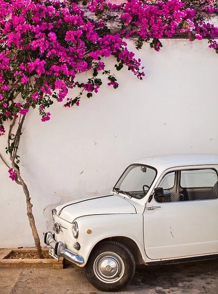 Fiat under tree in Mojacar, Andalucia, Spain, Europe
