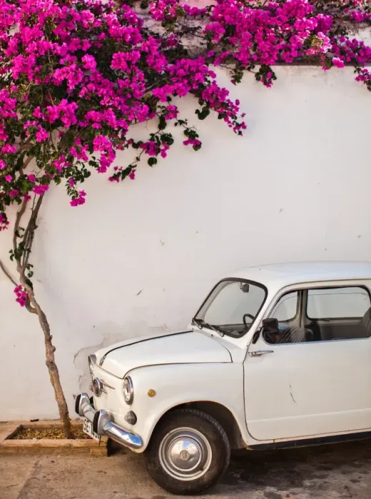 Framed Print : Fiat under tree in Mojacar, Andalucia, Spain, Europe Framed Print : Fiat under tree in Mojacar, Andalucia, Spain, Europe