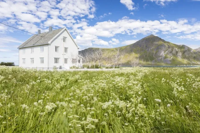 Framed Print : Field of blooming flowers frame the typical wooden house surrounded by peaks and blue sea