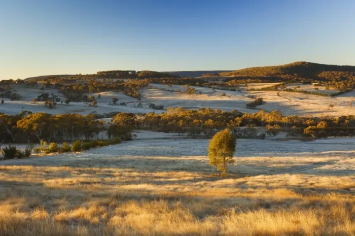 Framed Print : Field and hoar frost, Great Dividing Range, near Goulburn, New South Wales Framed Print : Field and hoar frost, Great Dividing Range, near Goulburn, New South Wales