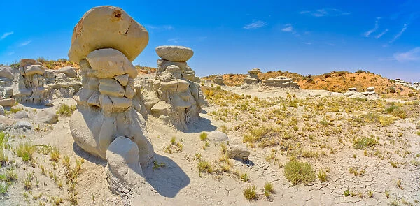 Field of hoodoos in Goblin Garden in the Flat Tops of Petrified Forest National Park