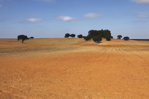 A field of orange-red earth, typical of rural land of the region, close to Mertola in the Alentejo, Portugal, Europe