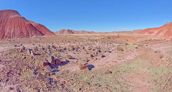 A field of shattered wood in Tiponi Canyon in Petrified Forest National Park, Arizona, United States of America, North America
