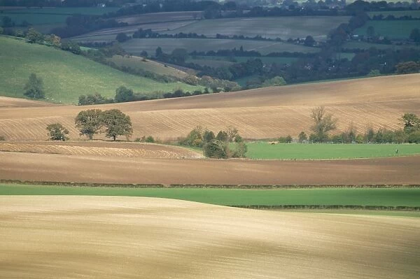 Fields in autumn, Meon Valley, Hampshire, England, United Kingdom, Europe