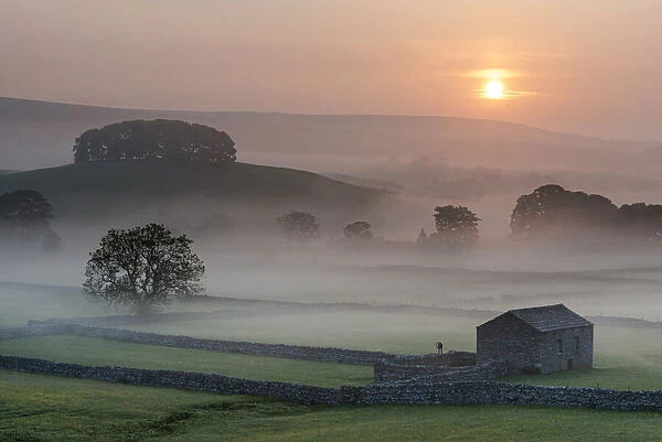 Fields and barn at sunrise, looking northeast from Hawes, Yorkshire Dales National Park