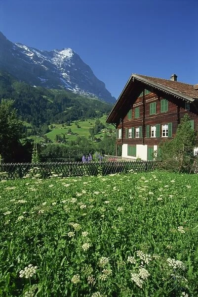 Fields and chalets at Grindelwald with the Eiger at 13026ft beyond