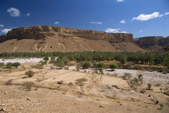 Framed Print : Fields and date palms in the fertile valley of Wadi Doan Framed Print : Fields and date palms in the fertile valley of Wadi Doan