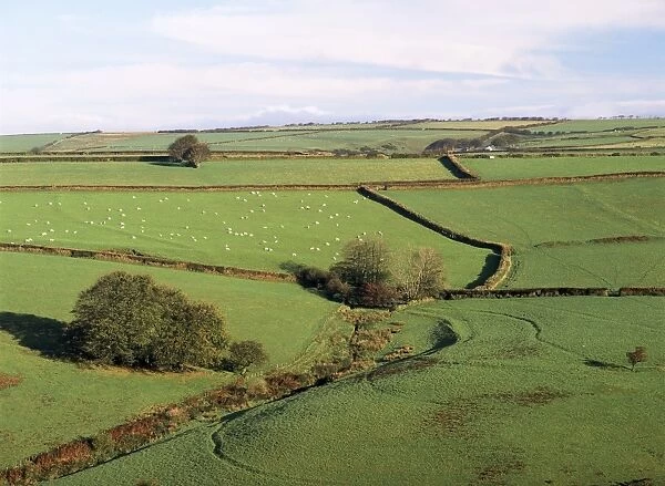 Fields on the edge of Exmoor National Park, Challacombe, Exmoor, Devon