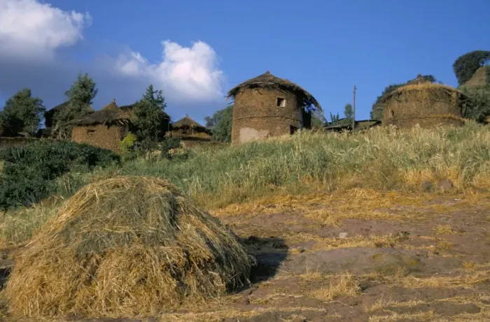 Framed Print : Fields and grain stores, Lalibela, Ethiopia, Africa Framed Print : Fields and grain stores, Lalibela, Ethiopia, Africa