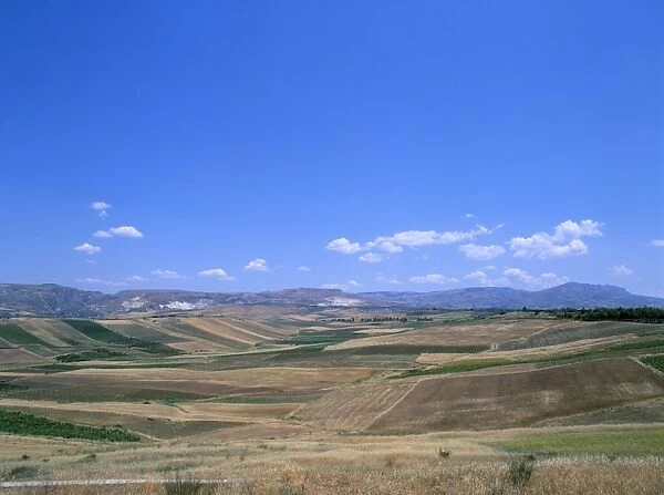 Fields, island of Sicily