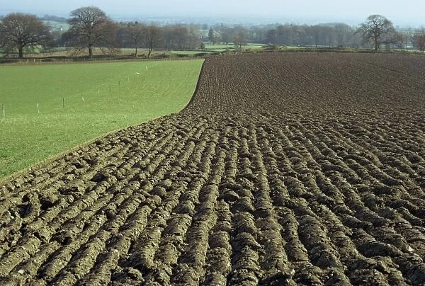 Fields between Llanarmon and Llanrhaeadr