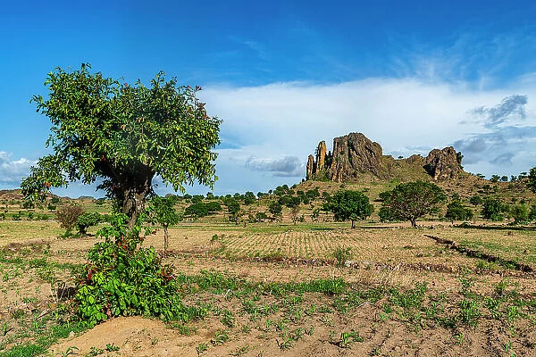 Fields and lunar landscape, Rhumsiki, Mandara mountains, Far North province, Cameroon, Africa