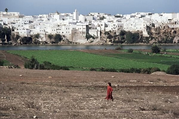 Fields near Essaouira
