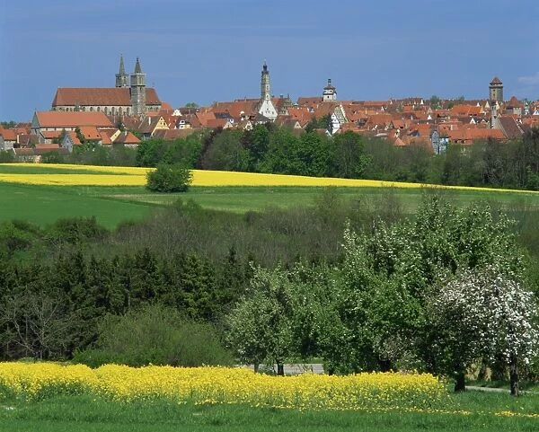 Fields and trees in front of the town skyline of Rothenburg