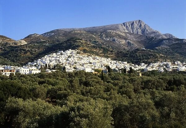 Filoti in Olive Groves, Tragea, Naxos, Cyclades, Greece