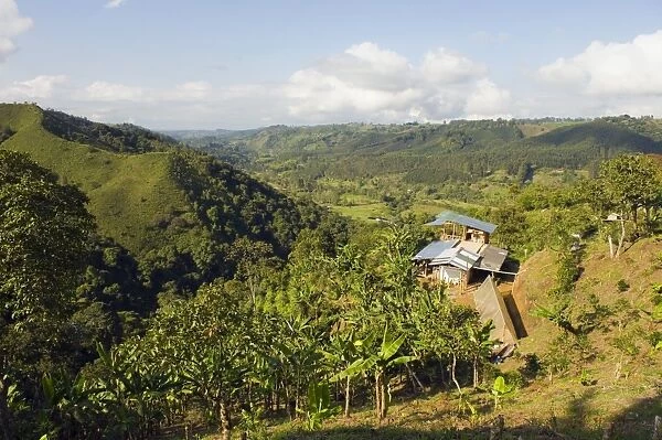 Finca Don Eduardo, coffee farm, Salento, Colombia, South America