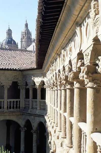 Fine cloisters of the Convento de las Duenas