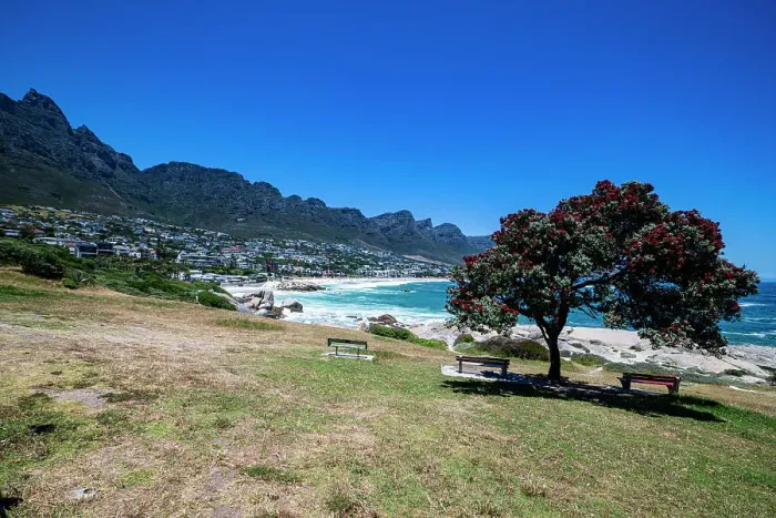 Framed Print : Fine sand beach under the Twelve Apostles, Camps Bay, Cape Town, South Africa, Africa Framed Print : Fine sand beach under the Twelve Apostles, Camps Bay, Cape Town, South Africa, Africa