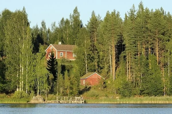 Finnish summer house on a wooded island in Lake Saimaa by sunset light, near Savonlinna, Finland, Scandinavia, Europe