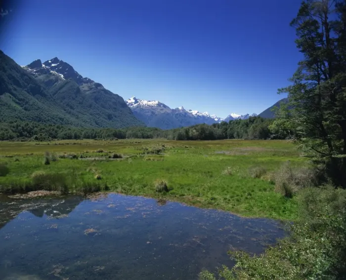 Framed Print : Fiordland National Park Framed Print : Fiordland National Park
