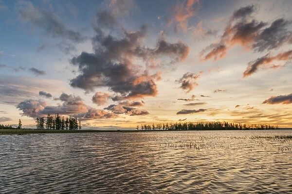 Fir trees and clouds reflecting on the suface of Hovsgol Lake at sunset, Hovsgol province
