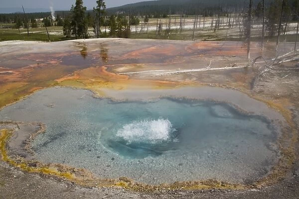 Firehole Spring, Firehole Lake Drive, Yellowstone National Park, UNESCO World Heritage Site, Wyoming, United States of America, North America