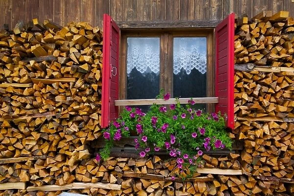 Firewood, Vigo di Fassa, Fassa Valley, Trento Province, Trentino-Alto Adige  /  South Tyrol, Italian Dolomites, Italy, Europe