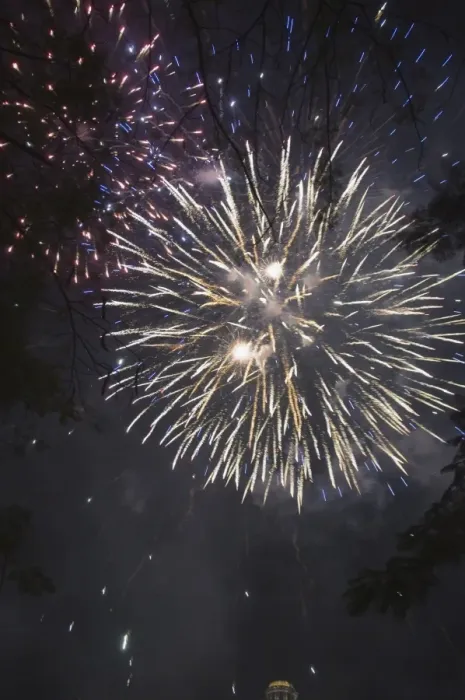Framed Print : Fireworks Framed Print : Fireworks