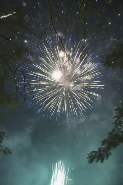 Framed Print : Fireworks Framed Print : Fireworks