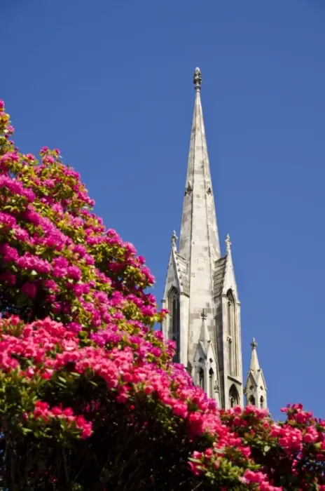 Framed Print : The First Church, Dunedin, Otago, South Island, New Zealand, Pacific Framed Print : The First Church, Dunedin, Otago, South Island, New Zealand, Pacific