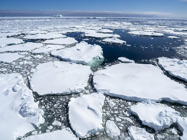 First year sea ice with glacial ice trapped near Petermann Island, Antarctica, Polar Regions