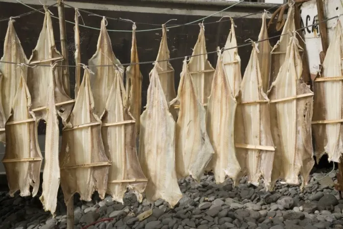 Framed Print : Fish drying, Camara de Lobos, Madeira, Portugal, Europe Framed Print : Fish drying, Camara de Lobos, Madeira, Portugal, Europe