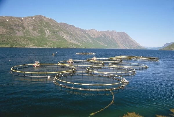 Fish farm in fjord