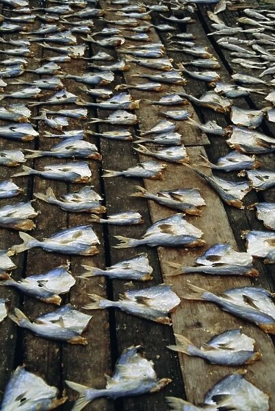Fish filleted and left to dry in the sun