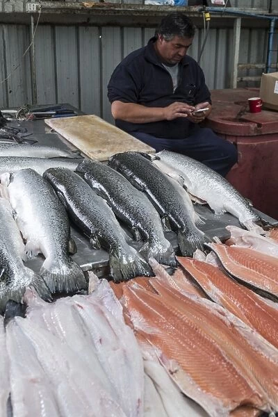 The fish market in Castro, Chiloe, Patagonia, Chile, South America