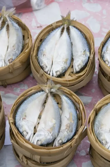 Framed Print : fish in market, Luang Prabang, Laos Framed Print : fish in market, Luang Prabang, Laos