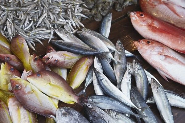 Fish at market, Weligama, Southern Province, Sri Lanka, Asia