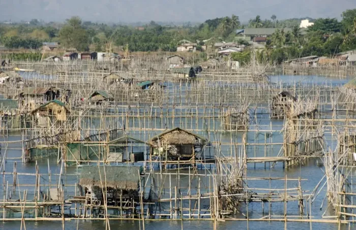 Framed Print : Fish pens in channel through wetlands at south end of Lingayen Gulf, near Dagupan Framed Print : Fish pens in channel through wetlands at south end of Lingayen Gulf, near Dagupan