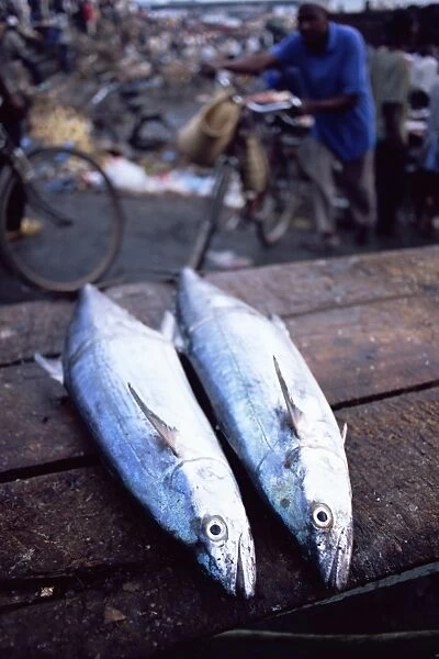 Two fish for sale at the daily morning fish market, Stone Town, island of Zanzibar