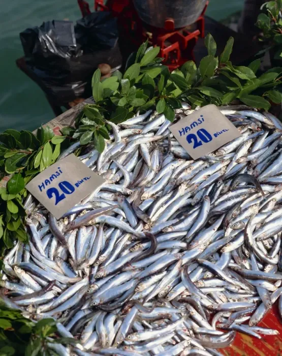 Framed Print : Fish for sale in Istanbul Framed Print : Fish for sale in Istanbul