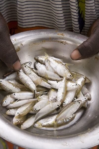 Fish for sale in the local market, Djenne, Niger Inland Delta, Mopti region