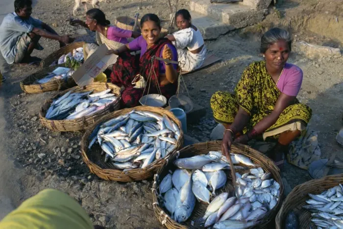 Framed Print : Fish sellers, Port Blair, Andaman Islands, India, Asia Framed Print : Fish sellers, Port Blair, Andaman Islands, India, Asia