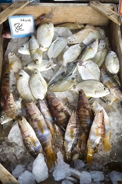 Fish sold on the harbour