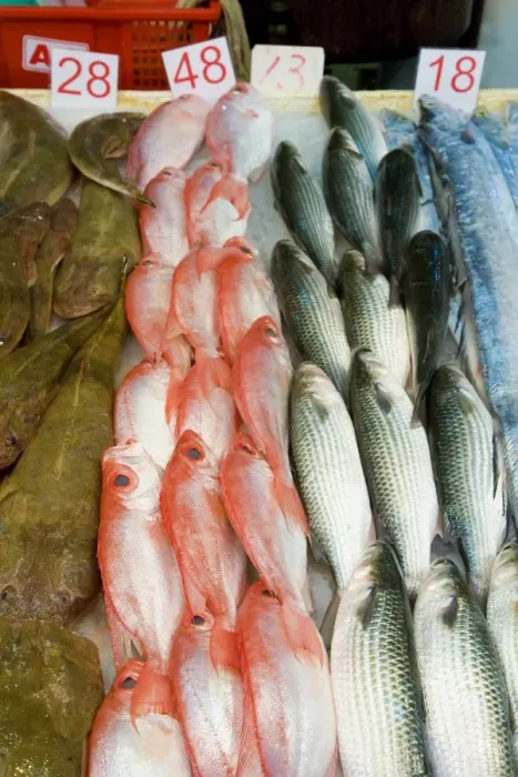 Framed Print : Fish stall in market, Wan Chai, Hong Kong Island, Hong Kong, China, Asia Framed Print : Fish stall in market, Wan Chai, Hong Kong Island, Hong Kong, China, Asia