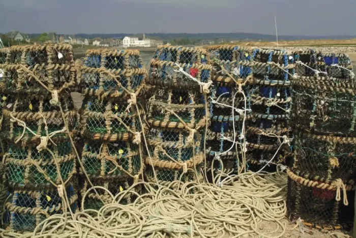 Framed Print : Fish traps, Cotentin Peninsula, Manche, Normandy, France, Europe