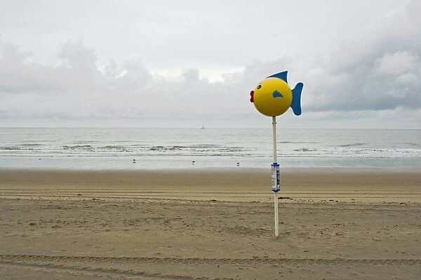Fish out of water, a wet day on Blankenberge beach, Belgium, Europe