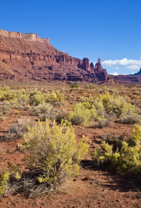 Framed Print : Fisher Towers and sagebrush foreground, near Moab, Utah, United States of America, North America Framed Print : Fisher Towers and sagebrush foreground, near Moab, Utah, United States of America, North America