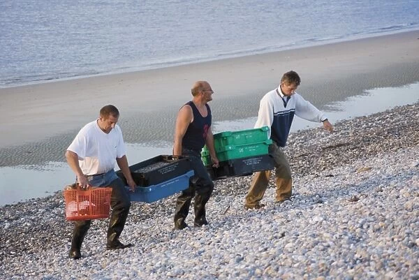 Fisherman carrying fish up shingle beach, Le Hourdel, Cote Picardie, Picardy